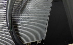 KAWASAKI NINJA1100SX 2025 ZXT10H