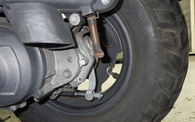 HONDA ZOOMER 2025 AF58