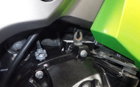 KAWASAKI NINJA 1000 2010