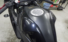 YAMAHA YZF-R3 2019 RH13J