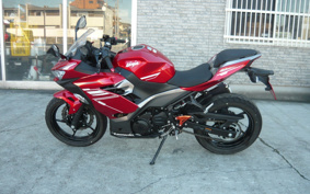 KAWASAKI NINJA 250 EX250P