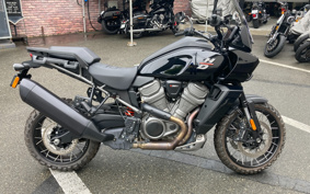 HARLEY PAN AMERICA 1250 2021 ZDS