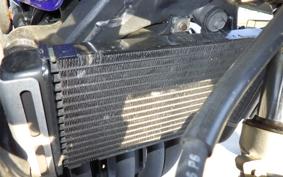 HONDA HORNET 250 MC31