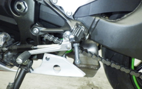 KAWASAKI NINJA ZX-6R A 2021 ZX636G