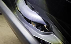 YAMAHA YZF-R3 2020 RH13J