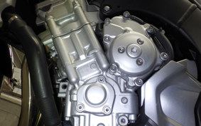 YAMAHA FZ1 FAZER 2016 RN21J