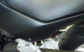 HONDA HORNET 250 2025 MC31