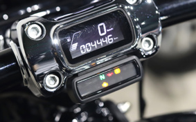 HARLEY FXBRS 2021 YHK