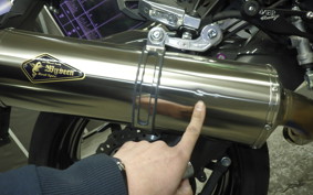 KAWASAKI NINJA 1000 A 2019 ZXT00W