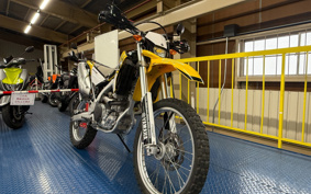 YAMAHA WR250R DG15J