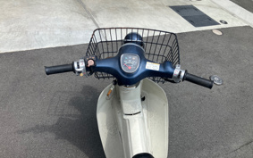 HONDA SUPER CUB50 AA01