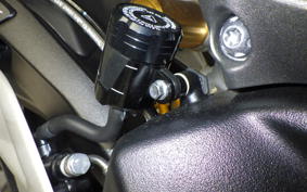TRIUMPH STREET TRIPLE RS 2025