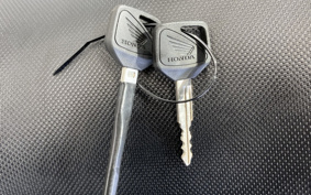 HONDA CB400 SUPER  BOL D`OR ABS 2024 NC42