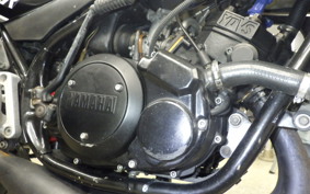 YAMAHA RZ250R 2013 29L