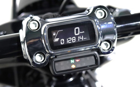 HARLEY FXBRS 2020 YHK