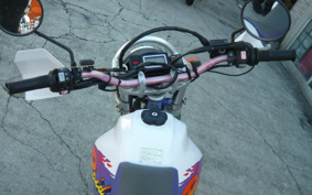 YAMAHA TT250RRAID 4GY