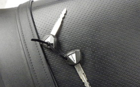 KAWASAKI ZX 1400 NINJA R A 2020