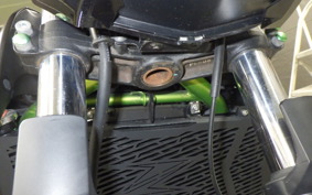 KAWASAKI Z650 A 2018 ER650H