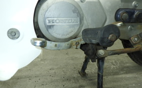 HONDA C50 SUPER CUB 2024 C50