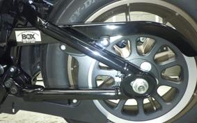 HARLEY FXLRS1920 2024