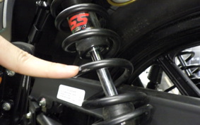 OTHER +GPX LEGEND250ﾂｲﾝ-2