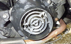 HONDA TODAY 2024 AF61