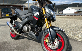 KAWASAKI Z125 PRO BR125H