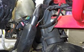HONDA CROSS CUB 110 2021 JA10