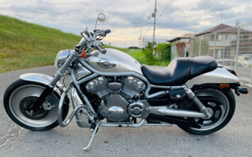 HARLEY VRSCA 2003 HAZ