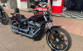 HARLEY FXBRS 2019 YHK