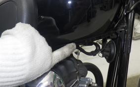 KAWASAKI W800 2012 EJ800A