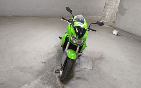 KAWASAKI Z1000 2007 ZRT00B
