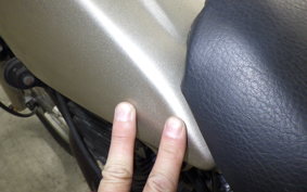 YAMAHA TW200 2022 2JL