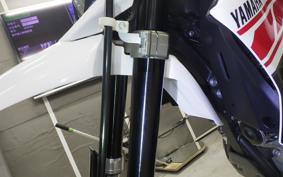 YAMAHA WR250X 2009 DG15J