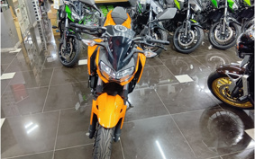 KAWASAKI Z250 EX250P