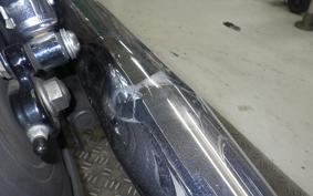 OTHER +HD. XL1200R 2006