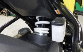 SUZUKI Vｽﾄﾛｰﾑ250SX 2025 EL11L