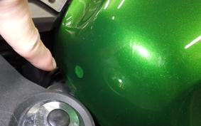 KAWASAKI NINJA 1000SX 2020 ZXT02K