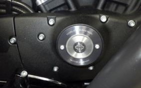 HARLEY XL883N 2021