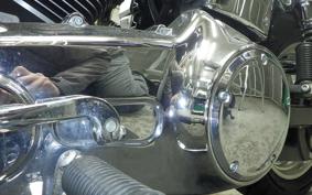 HARLEY FXDL 1580 2007