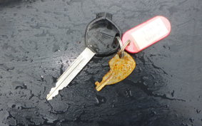 HONDA ﾍﾞﾝﾘｨ50 AA03