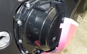 SUZUKI HAYABUSA Gen.2 2010