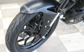YAMAHA MT-25 RG74J