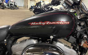 HARLEY XL883C 2005 CJM