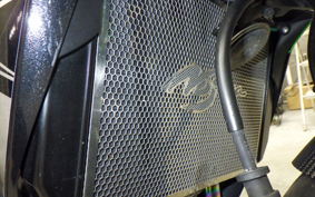 KAWASAKI Z1000 Gen.5 2017 ZXT00W