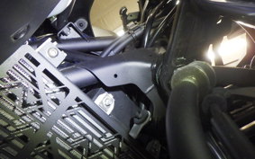 KAWASAKI NINJA 250 2 2021 EX250Y