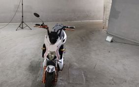 OTHER MINI BIKE ..