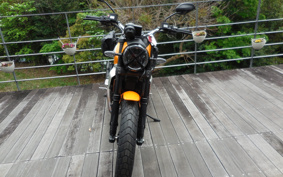 DUCATI  DUCATI  SCRAMBLER  ICON  2024 7K00