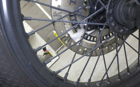 OTHER +UNREGISTERED MODEL by BDS250