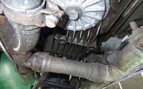 KAWASAKI Z1000 LIMITED 2025